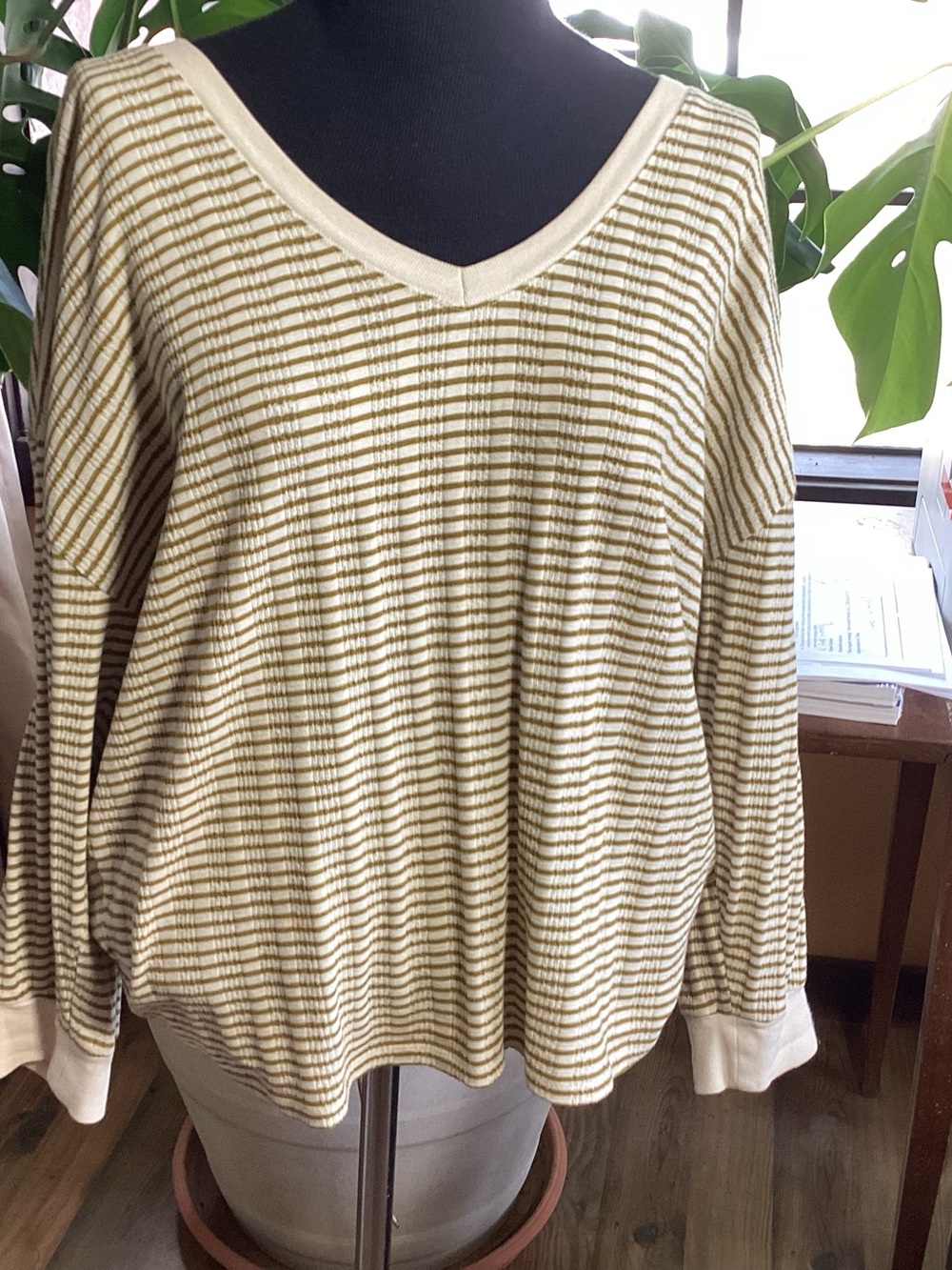 Anthropologie Striped V-Neck Long Sleeve Top in Cream and Olive